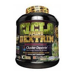 BIG CICLO AMINO DEXTRIN 1,5KG