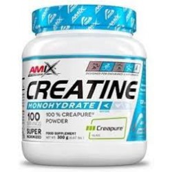 AMIX CREAPURE  300GR
