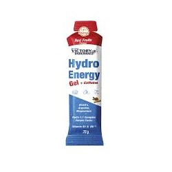 VICTORY HYDRO ENERGY +...