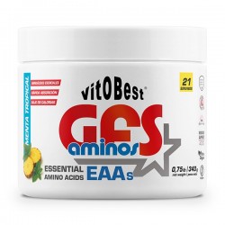 VITOBEST GFS AMINO 340 GR
